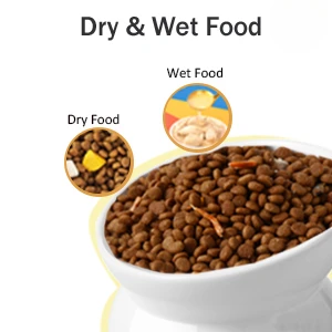 Dry and Wet Food