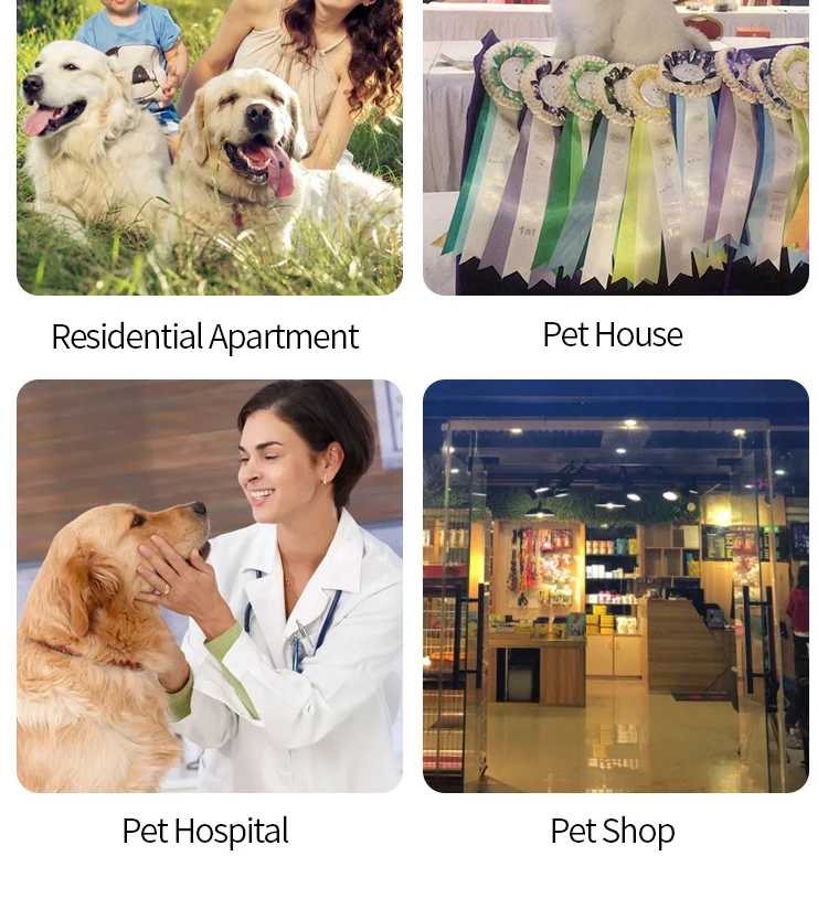 G5-S Hot Sale New Design Cat and Dog Hair Dryer Cabinet Small Pet Dryer Machine Pet Water Blower China Factory Direct Supplier