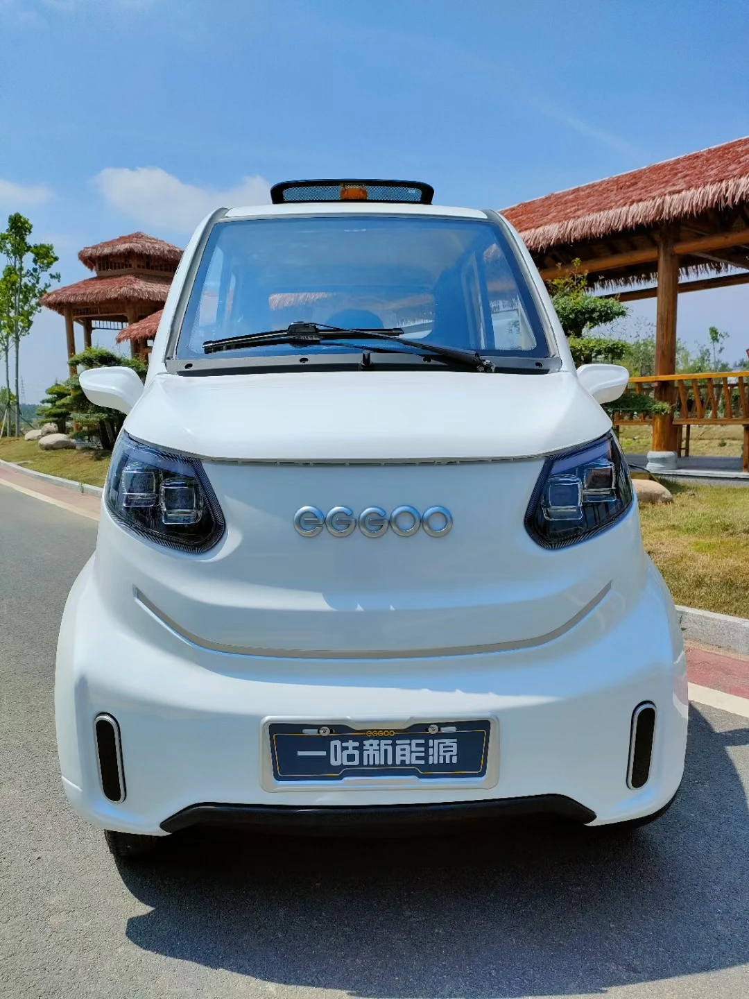 SAIGE EGGOO EEC COC 60V 100km Range Electric Mini Car