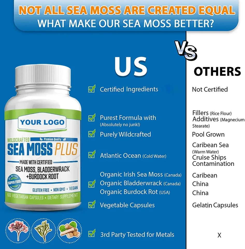 Sea Moss Pills Certified Organic Irish Seamoss Capsules Bladderwrack Irish Sea Moss Capsules