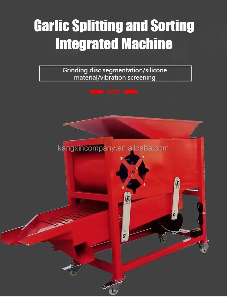 Bestselling 3kw Separator Garlic Clove Screening Allinone Machine