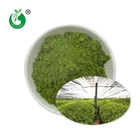 Bulk Green Tea China Supplier Bulk Wholesale Pure Green Tea Powder