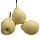 Asian Pear Fresh Pearfresh Nice Asian Ya Pear Fresh