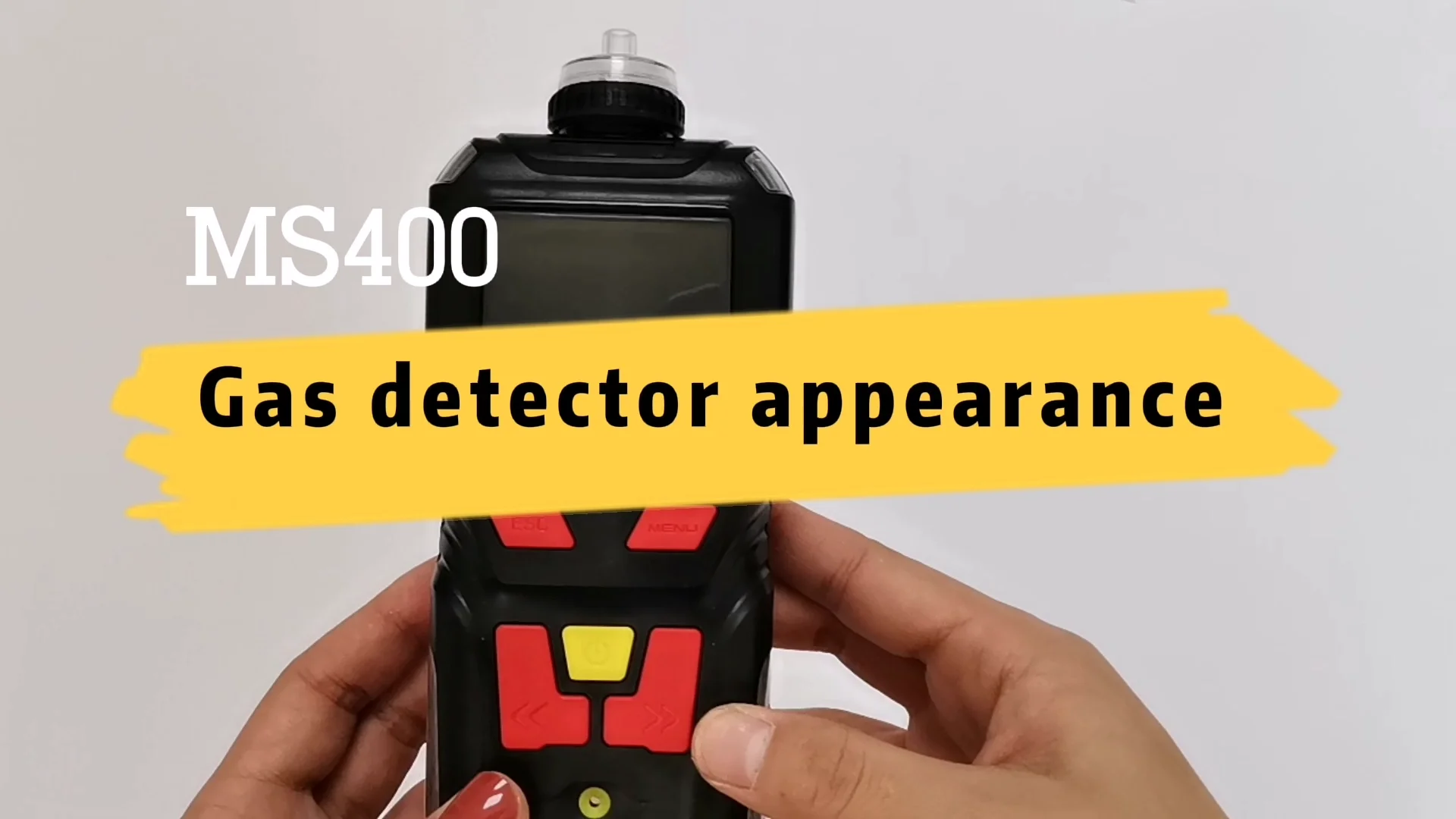 Ms Portable In Gas Detector With Pumping Sampling For Fumigation