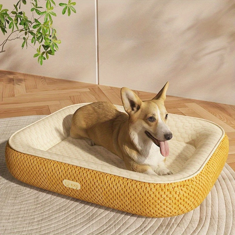https://wxalbum-10001658.image.myqcloud.com//wxalbum/45249/20250523164805/48bcde871a1279784519c8d91fecde22