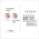 Heart Pearl Earring Earrings Fresh Water Heart Pearl Earring Studs Wholesale For Women 2021