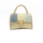 Clutch Bag Luxury Designer Clutch Bag Women Hot Trendy Fashion Ladies Thick Chain Shoulder Bag Handbag