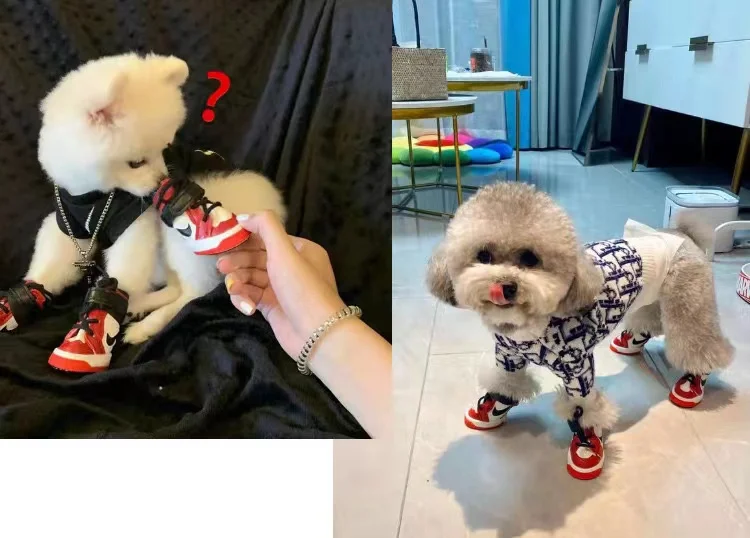 Wholesale Luxury Designer Pet Dog Shoes Waterproof Comfortable Nikedog