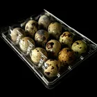 Tray For Egg Pvc Wholesale 12 Holes Plastic Disposable Clamshell Blister Tray For Quail Egg