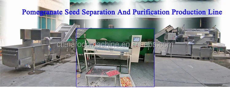 Lotus Seeds Skin Removing Passion Fruit Making Peeling Juice Machine Processing Line Pomegranate Peeler Machine supplier