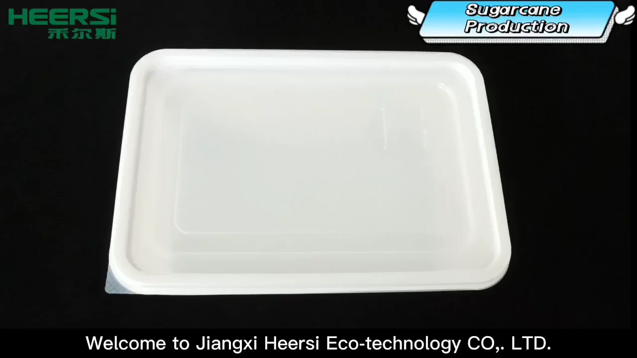 Microwavable Rectangle Biodegradable Pla Take Out Food Container