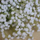 Flower Long-branched Gypsophila High Quality Artificial Backdrop Flower Decoration At Home
