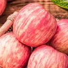 Apple Fruit Export 2021 New Crop Fresh Apple Fruit With Good Price