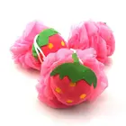 Sponge Fruit Shape Bath Sponge Children's Exfoliating Bath Ball