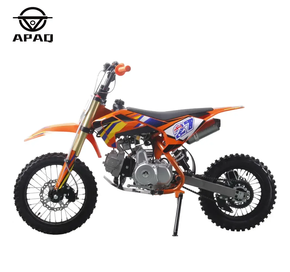 125cc Mini Motorcycle Four Stroke Kids Dirt Bike Kick Start Pit Bike