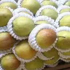 Pear Chinese Sweet And Juicy Fruit Fresh Green Ya Pear With Low Price