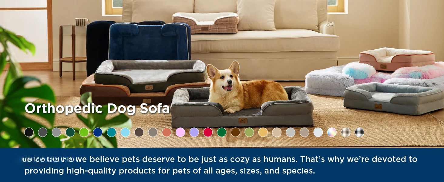 dog bed1