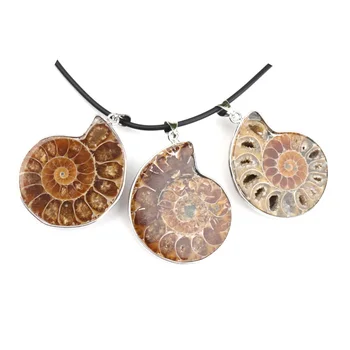 Wholesale ammonite fossil ammonite slice pendant necklace