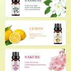 Oils Oil Oil Hot Sale Aromatherapy Top 6 Essential Oils Gift Set Oil In Stock