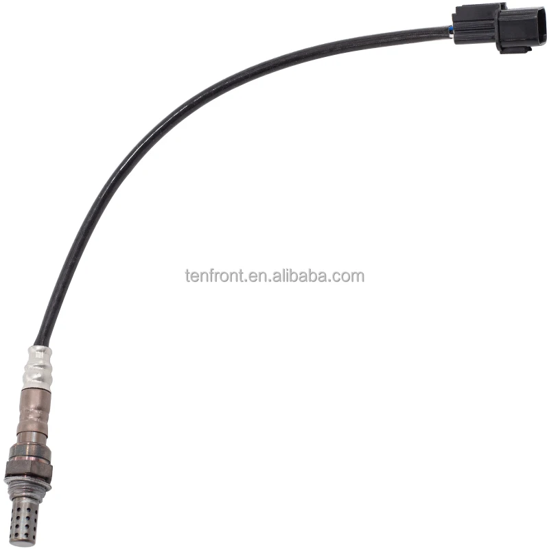 MD312083 (6).jpg