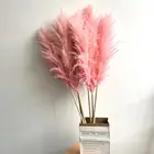 Decoration Wedding Decoration Large Pampas Grass Reed Pampas Grass Phragmites Decoration