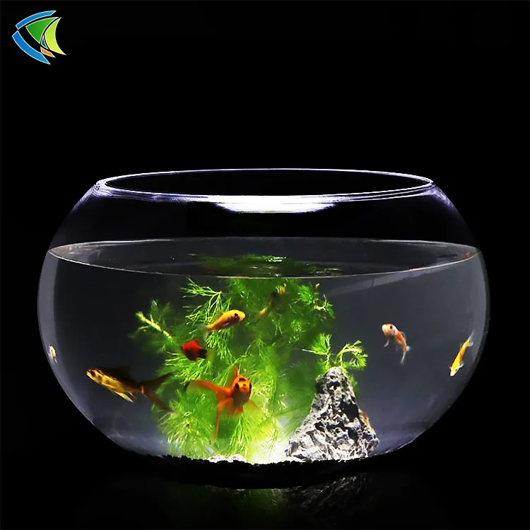 goldfish bowl png