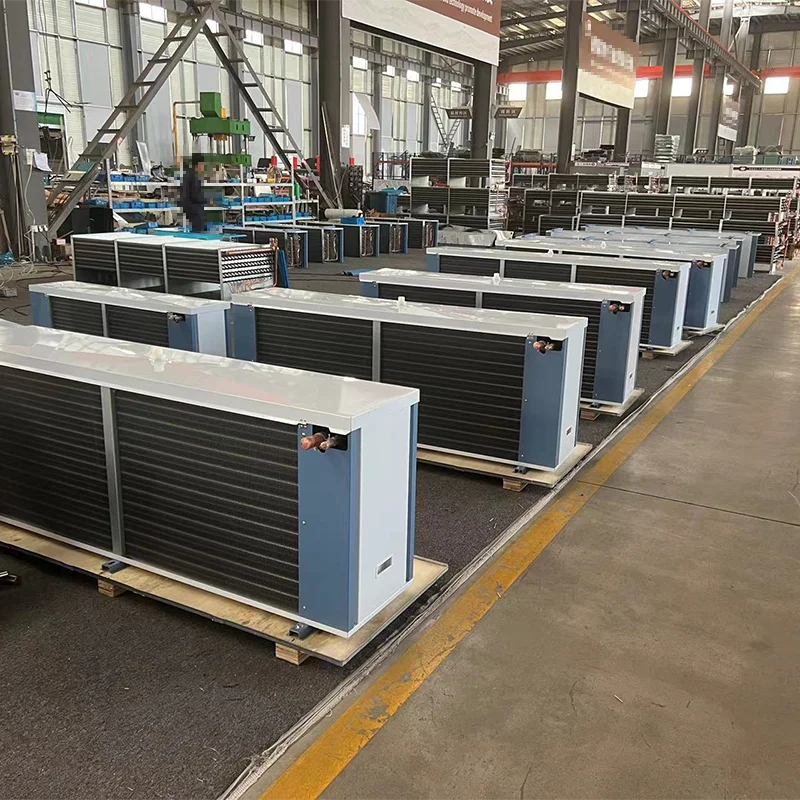 Freezer, 220V, R-410A - detail 26