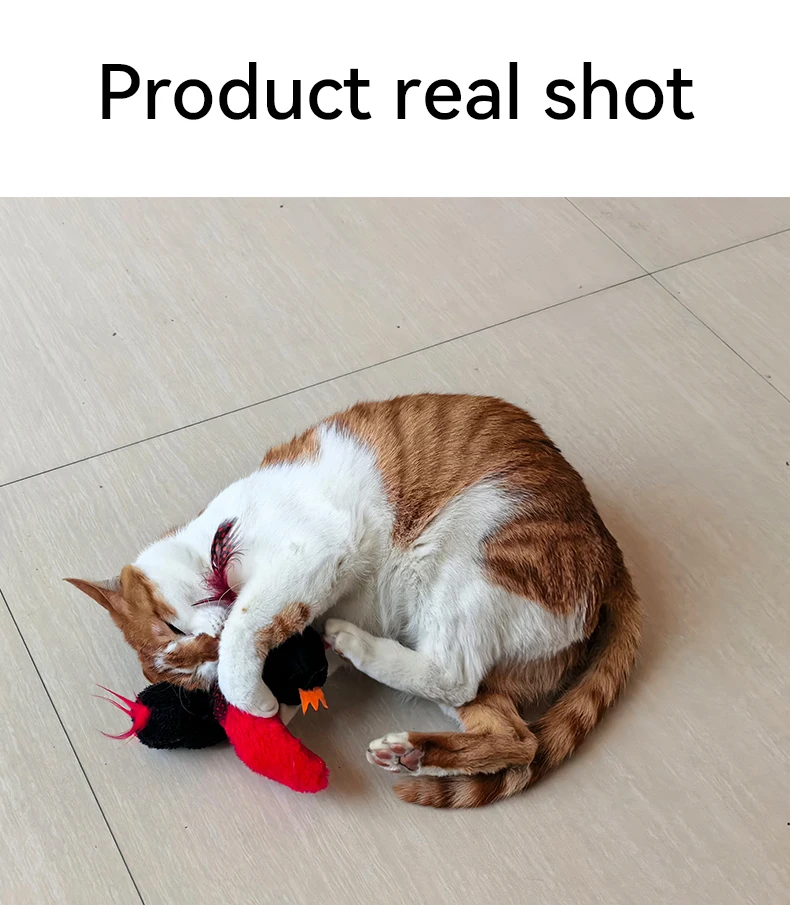 HOT Red Bird Cat Toys Touch Activated Flapping Wings Sparrow Interactive Smart Cat Toys USB Pet Products factory