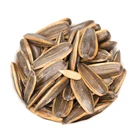 Sweet Crispy Caramel Flavor Roasted Sunflower Seeds
