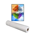 Canvas Water Based Pure Cotton Canvas Manufacturers Printing Photo Canvas Roll