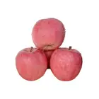 Apple Apple Fresh Chinese Crispy Red Fuji Apple Fruit Huaniu Apple Qinguan Apple Super Quality