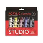 Paint Professional Drawing Colors Acrylic 5 Colors 75 Ml Non Toxic Artist Acrylic Paint Set For Students And Artist