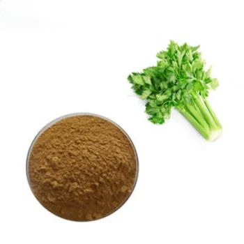 Wholesale Apigenin Supplement Powder Apigenin 98 Celery Seed Extract