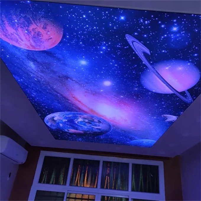 Galaxy False Ceiling ubicaciondepersonas.cdmx.gob.mx