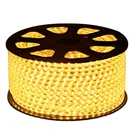 Led Strip Factory Outlet Professional Design Excellent Quality Low Price Led Strip Light Waterproof