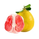 new crop top quality fresh red honey Pomelo