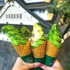 Green Tea Greenhealth Tea Certified Tea Powder Green Tea Powder Superfood Green Powder Matcha Green Tea Powder