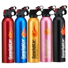 Portable Household Car Use Powder Fire Extinguisher Compact Fire Extinguisher For Laboratories Hotels