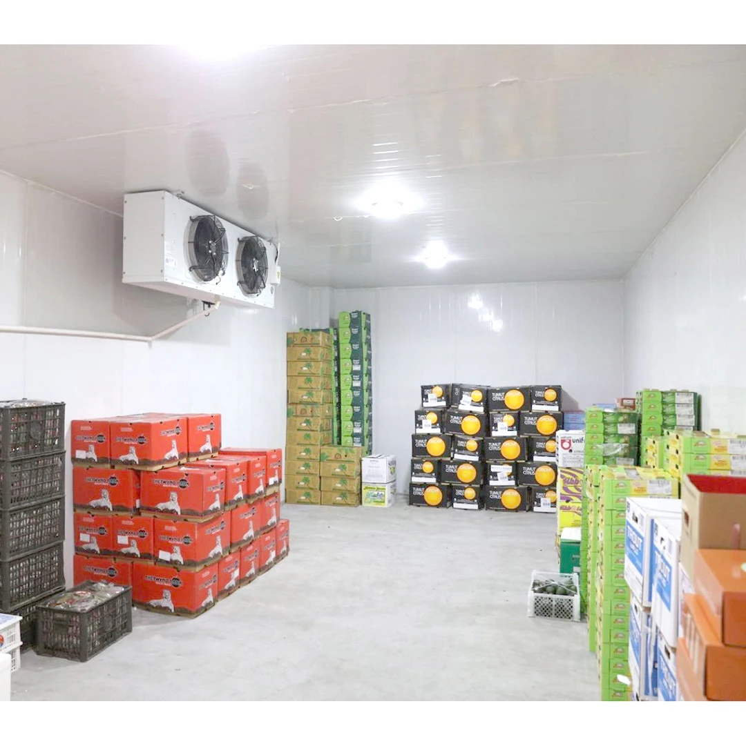 Blast Freezer, 220V/380V, 220V 50hz - detail 22