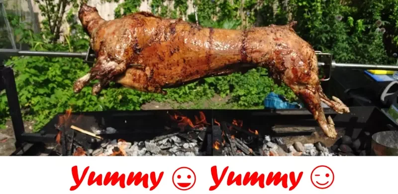 Danhui BBQ Grill Charcoal Stainless Steel Pig Lamb Hog Roast Machine Lamb Roasting Oven Rotary Grill