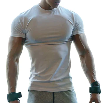 Mens Sportswear Short Sleeve Fitness Gym Shirt Activewear Organizer and Slim Fit T Shirt