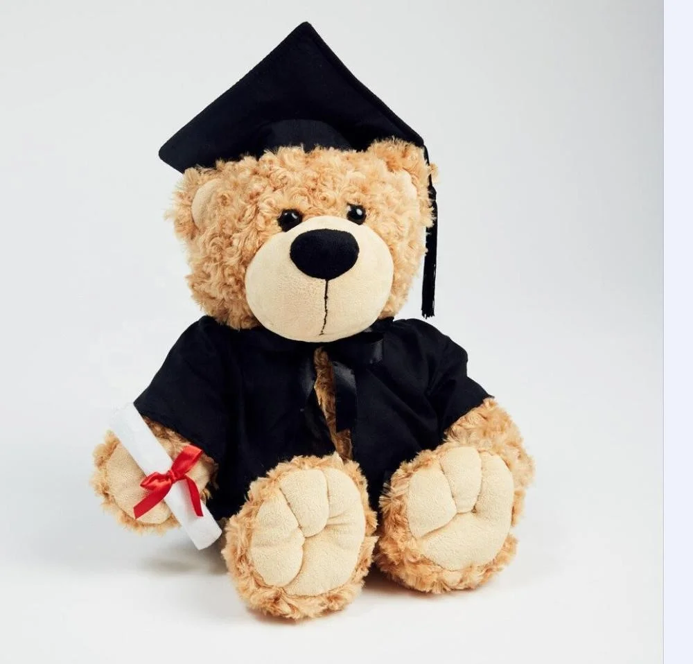 graduation stuffed dog