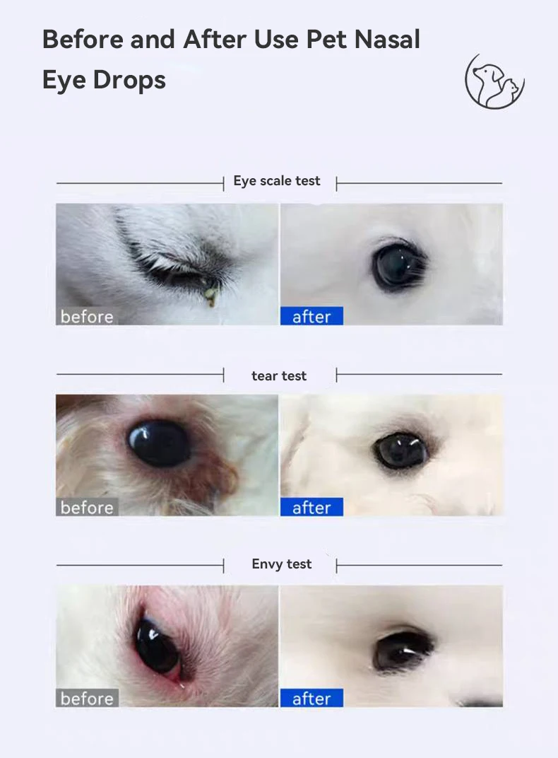 New Pet Eye Drops Remove Tear Stains Eye Cleansing Drops Plant Gentle Ingredients Do Not Irritate Eye Drops Pet Products details