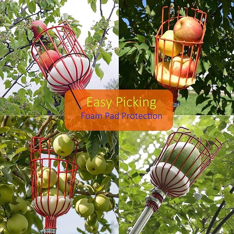 fruit picking tool.jpg