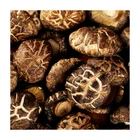 Mushrooms Wholesale Delicious Sanitarian Long Shelf Life Cultured Dried Shiitake Mushrooms