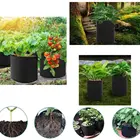 Plant Container Eco-frinedly Green Colorful Vegetable Flower Plant Growing Felt Fabric Pot Container With Handles