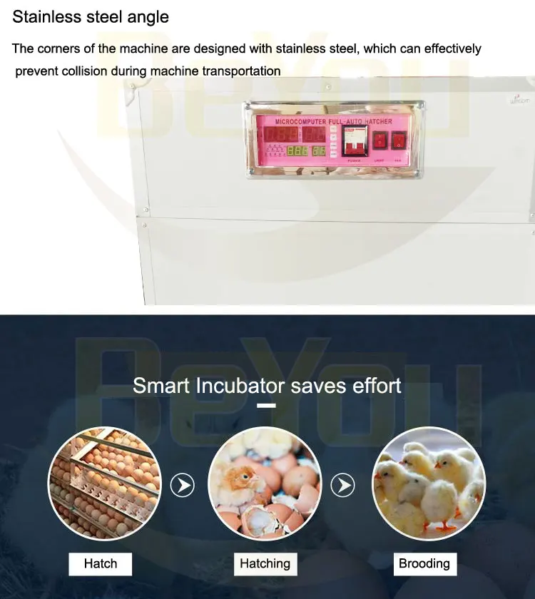 Digital Advanced Full Automatic Poultry Farming Equipment 19712 Eggs Setter Solar Incubator For Sale