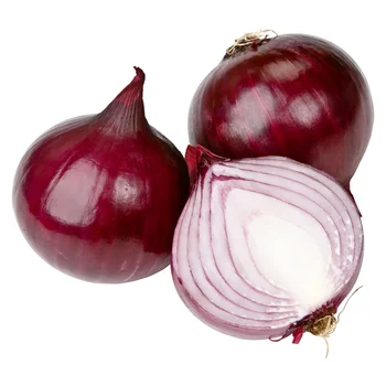 High quality fresh peeled onion whole peeled with best onion price from China professional factory