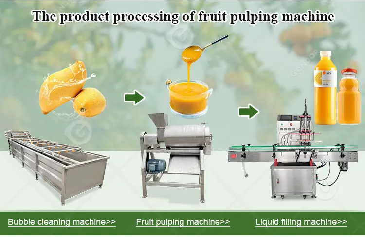 Fruit pulping machine_08