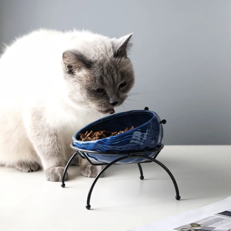 ceramic water bowls for cats